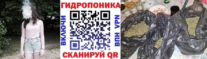 Марихуана White Widow  Армавир 